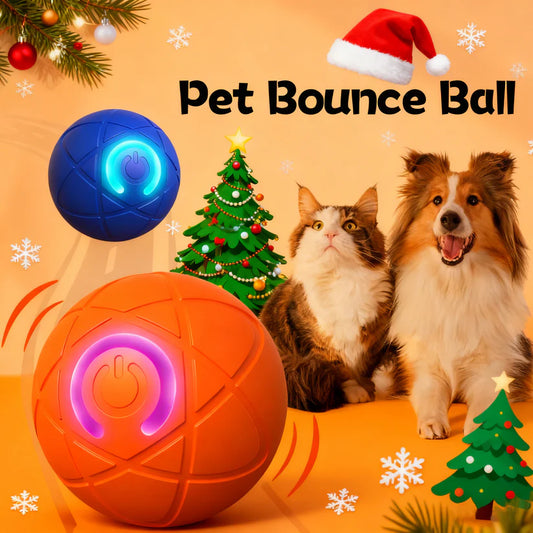 A Gift or Your friend🎁 Pet Bounce Ball for Cats & Dogs